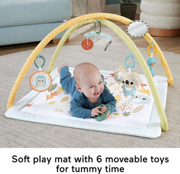 Fisher-Price Baby Playmat Simply Senses Newborn Gym