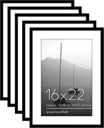 16x22 Picture Frame with Polished Plexiglass - Set of 5