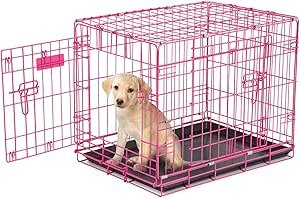 Petmate Puppy 2 Door Training Retreat 24"