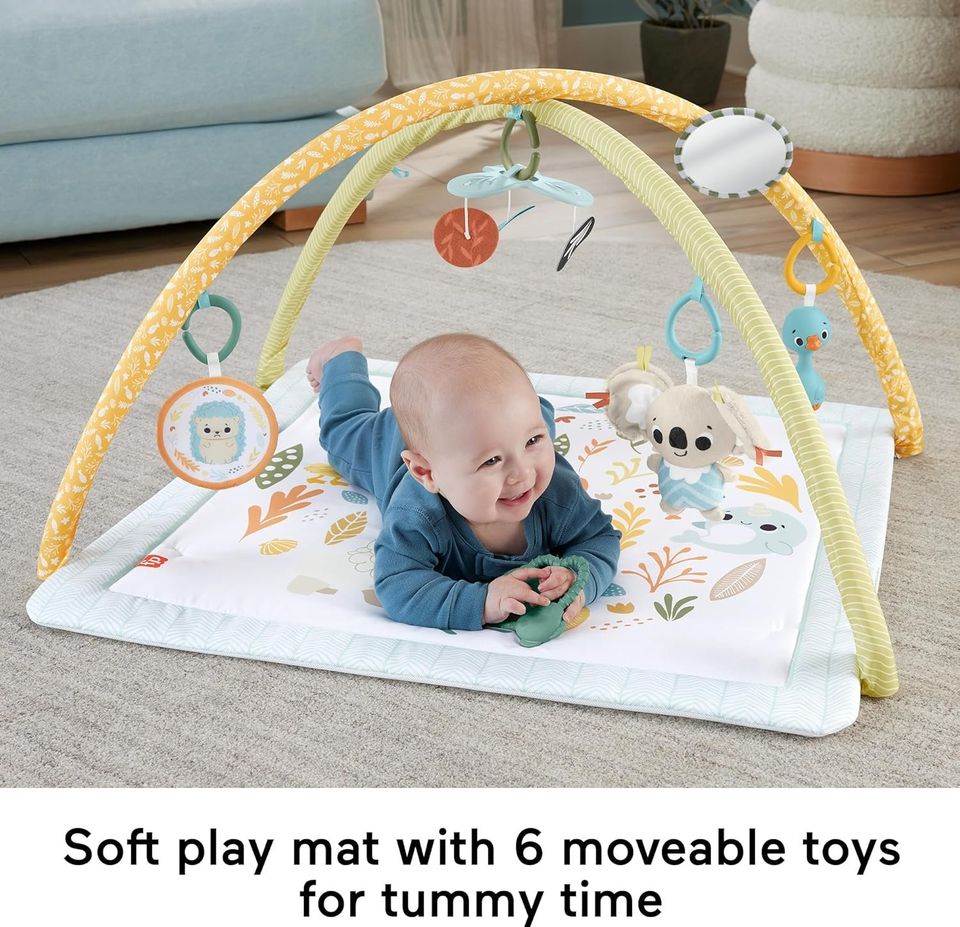 Fisher-Price Baby Playmat Simply Senses Newborn Gym